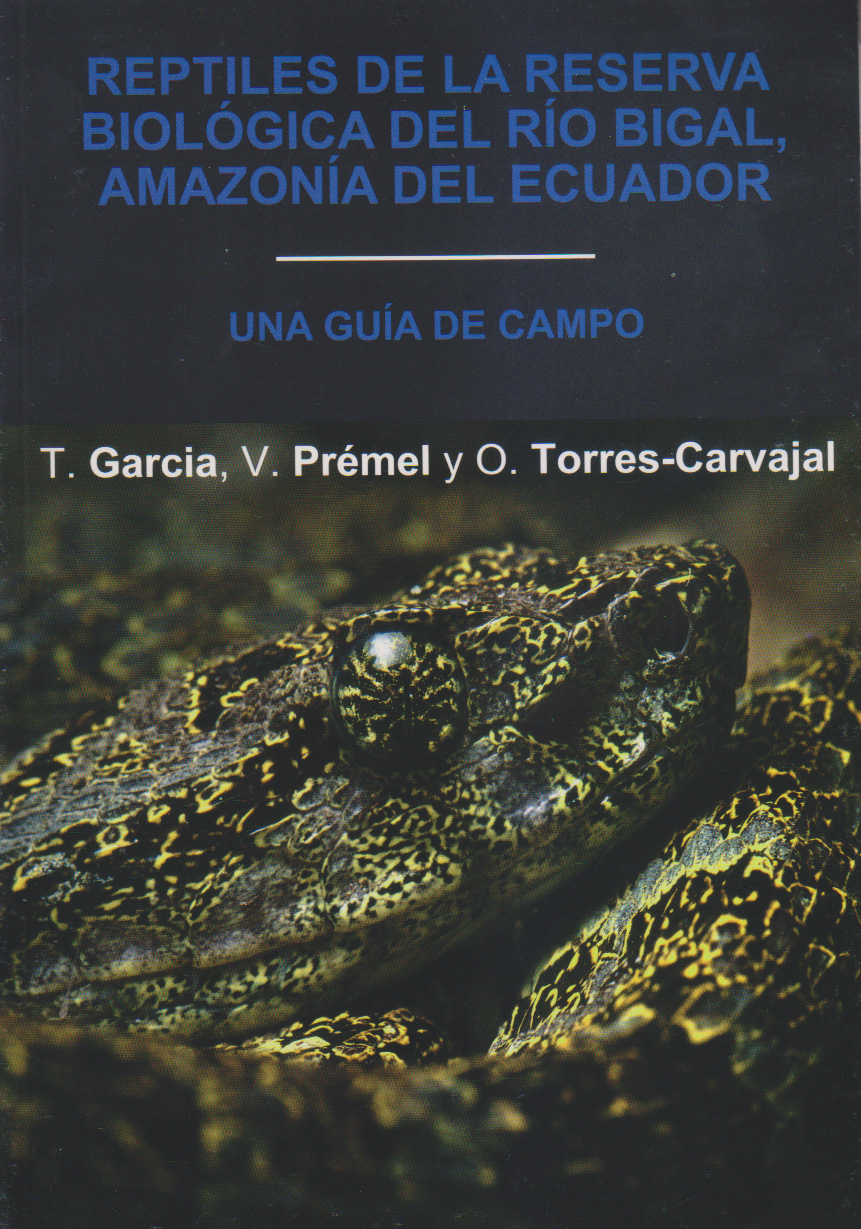 Libroguiaespanol